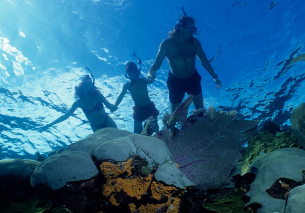 Blue Snorkel Exploration